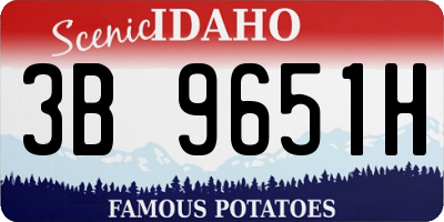 ID license plate 3B9651H