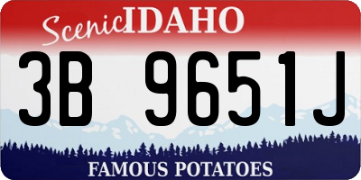ID license plate 3B9651J