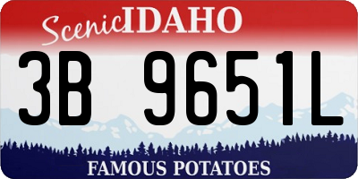 ID license plate 3B9651L