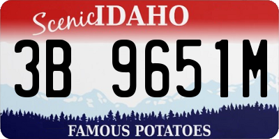 ID license plate 3B9651M