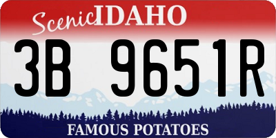 ID license plate 3B9651R