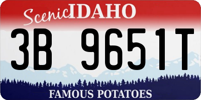 ID license plate 3B9651T