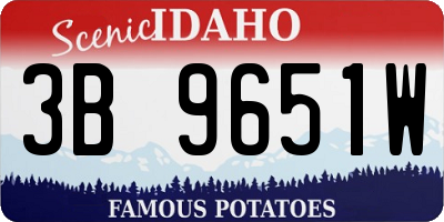 ID license plate 3B9651W