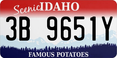 ID license plate 3B9651Y