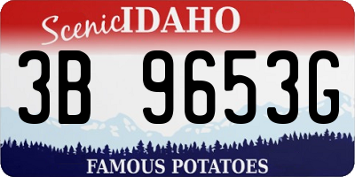 ID license plate 3B9653G