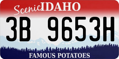 ID license plate 3B9653H