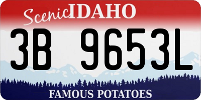 ID license plate 3B9653L
