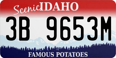 ID license plate 3B9653M