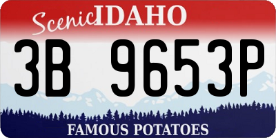 ID license plate 3B9653P