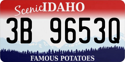ID license plate 3B9653Q