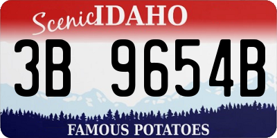 ID license plate 3B9654B