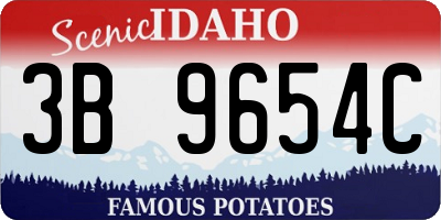 ID license plate 3B9654C