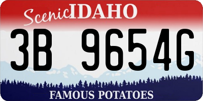 ID license plate 3B9654G