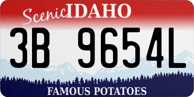 ID license plate 3B9654L
