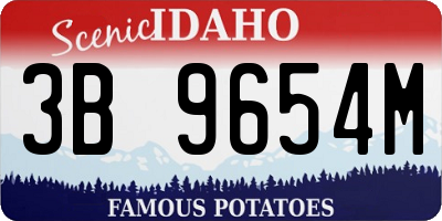 ID license plate 3B9654M