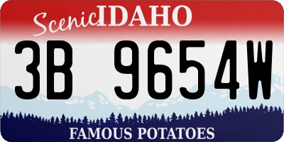 ID license plate 3B9654W