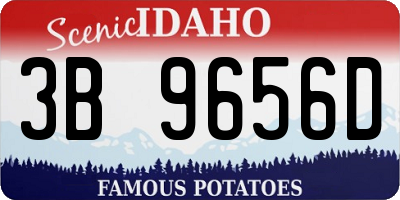 ID license plate 3B9656D