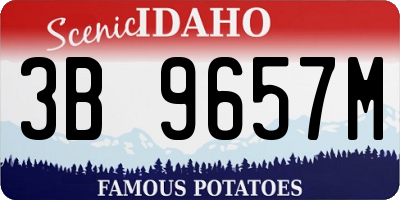 ID license plate 3B9657M