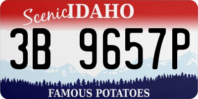ID license plate 3B9657P