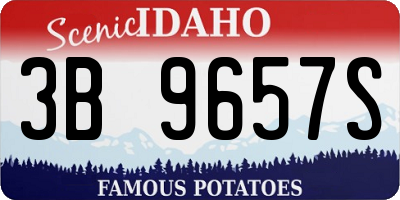 ID license plate 3B9657S
