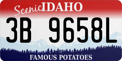 ID license plate 3B9658L