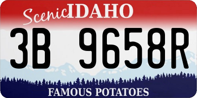ID license plate 3B9658R