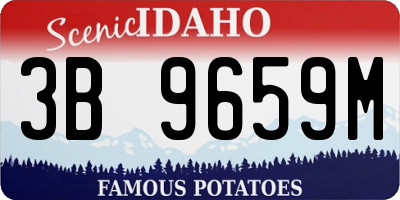 ID license plate 3B9659M