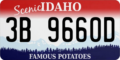 ID license plate 3B9660D