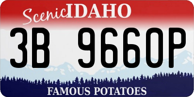 ID license plate 3B9660P