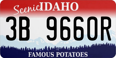 ID license plate 3B9660R