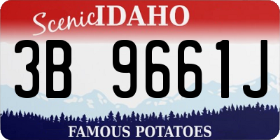 ID license plate 3B9661J