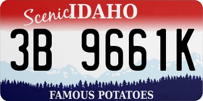 ID license plate 3B9661K