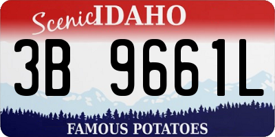 ID license plate 3B9661L