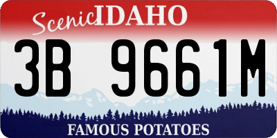 ID license plate 3B9661M