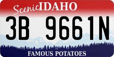 ID license plate 3B9661N