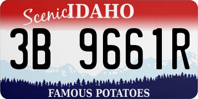 ID license plate 3B9661R