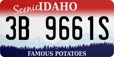 ID license plate 3B9661S