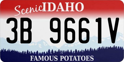 ID license plate 3B9661V