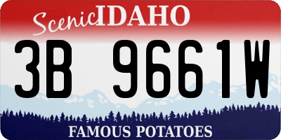 ID license plate 3B9661W