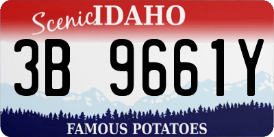 ID license plate 3B9661Y