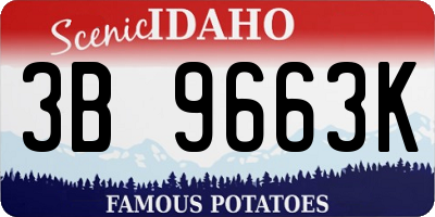 ID license plate 3B9663K