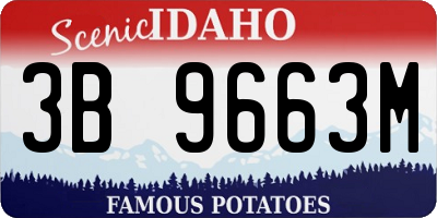 ID license plate 3B9663M