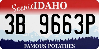 ID license plate 3B9663P