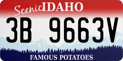 ID license plate 3B9663V