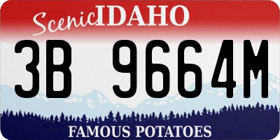 ID license plate 3B9664M