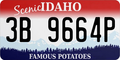 ID license plate 3B9664P