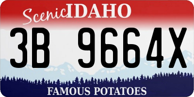 ID license plate 3B9664X