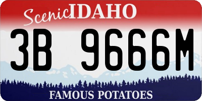 ID license plate 3B9666M