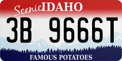 ID license plate 3B9666T