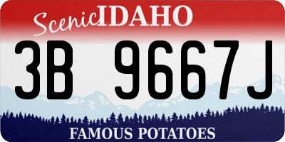 ID license plate 3B9667J